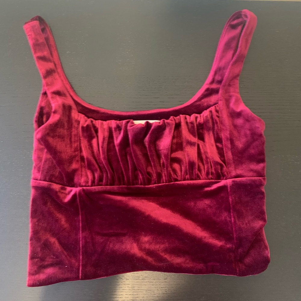Burgundy Velvet Crop Top